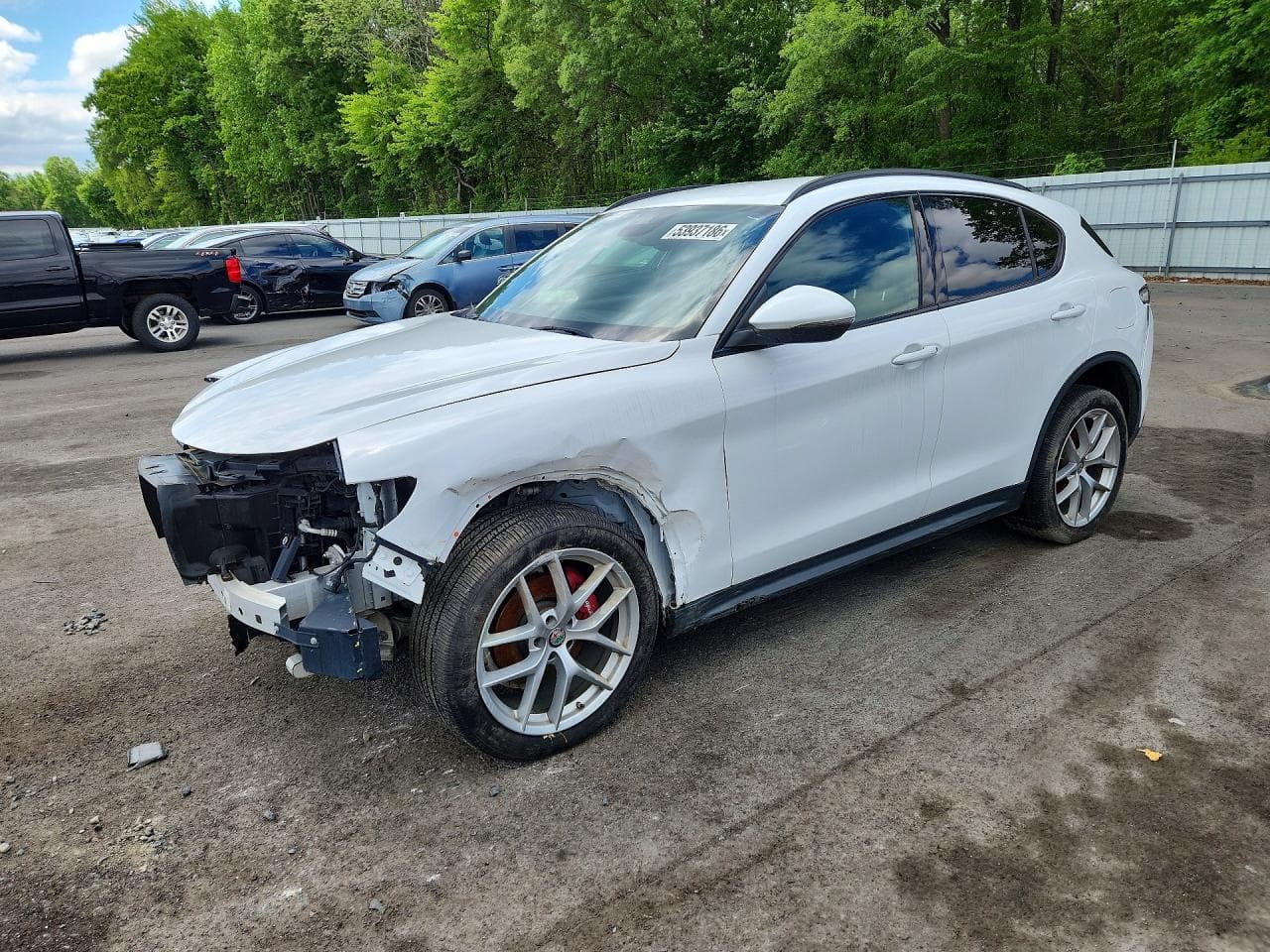 2018 ALFA ROMEO STELVIO - Photo 1